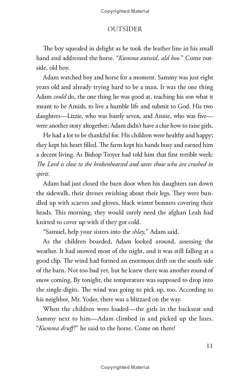 outsider: a novel of suspense - Ảnh 7