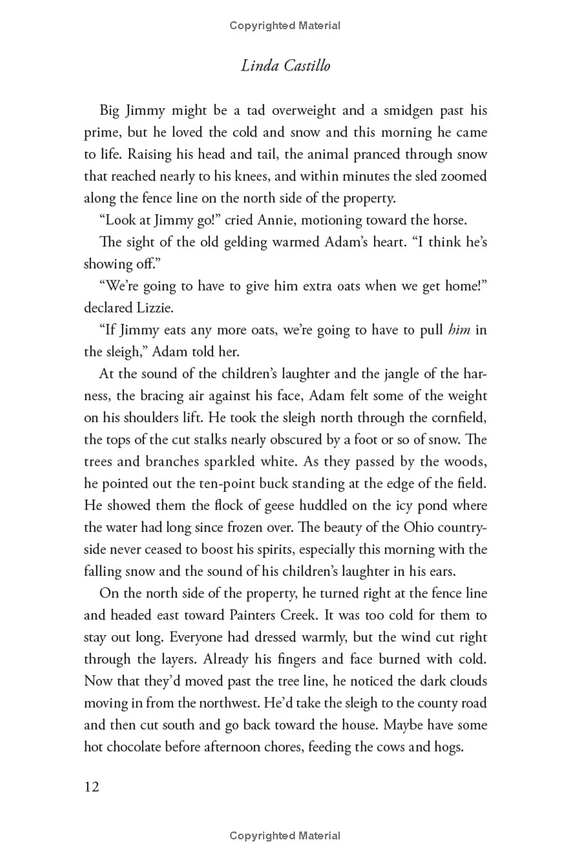 outsider: a novel of suspense - Ảnh 8