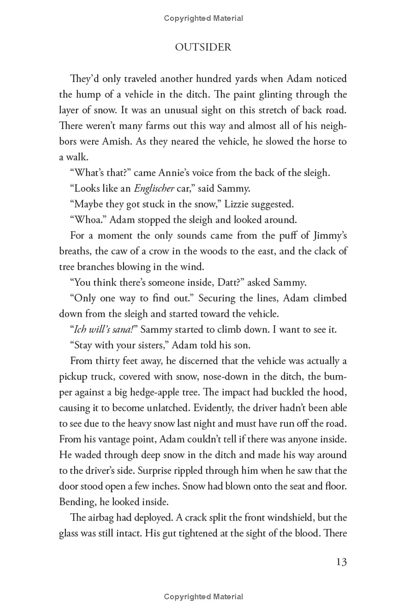 outsider: a novel of suspense - Ảnh 9