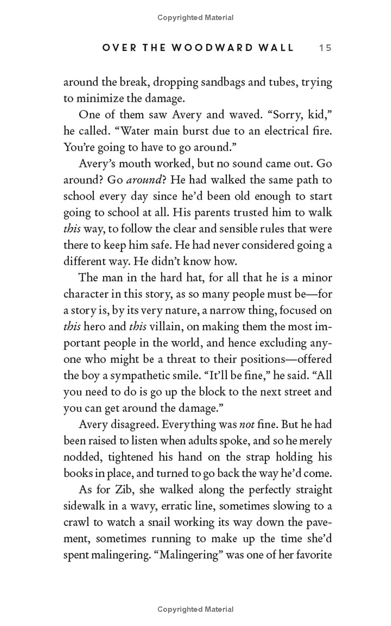 over the woodward wall - Ảnh 12