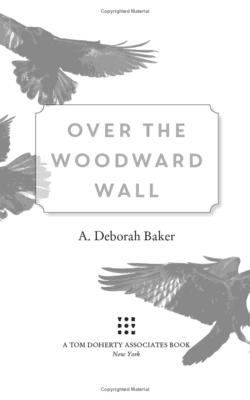 over the woodward wall - Ảnh 4
