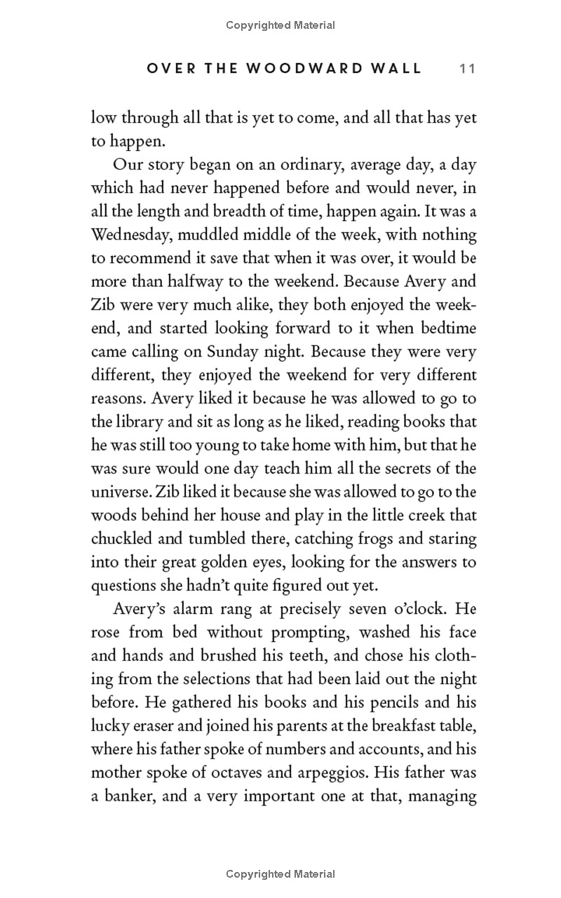 over the woodward wall - Ảnh 8