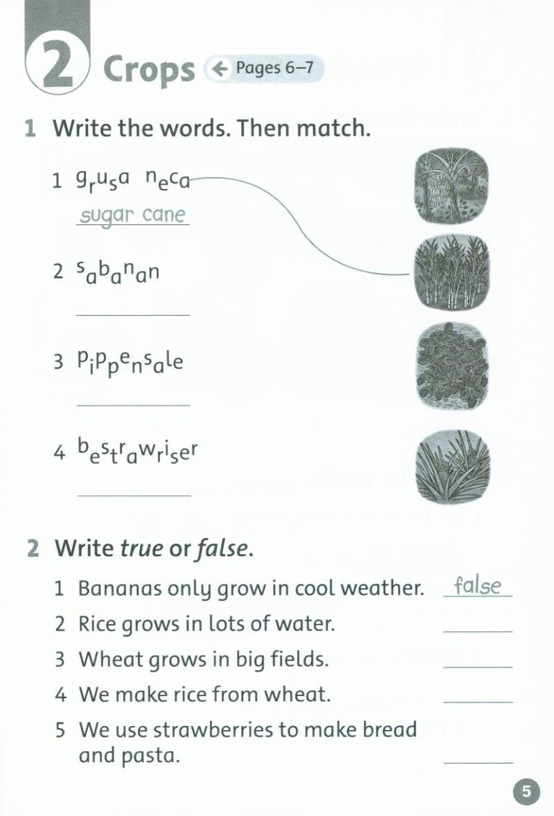 oxford read and discover: level 2: farms activity book - Ảnh 3