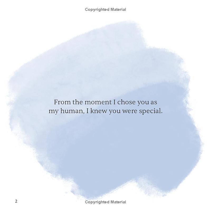 p.s. i love you more than tuna - Ảnh 5