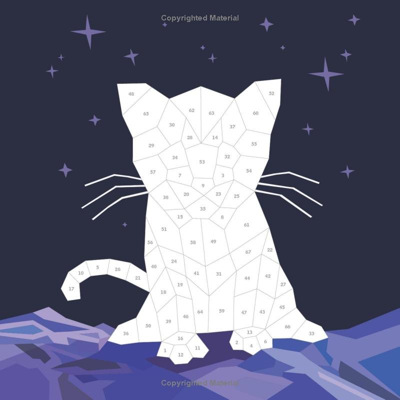 Paint by Sticker Kids: Rainbows Everywhere!: Create 10 Pictures One Sticker at a Time! - Ảnh 7