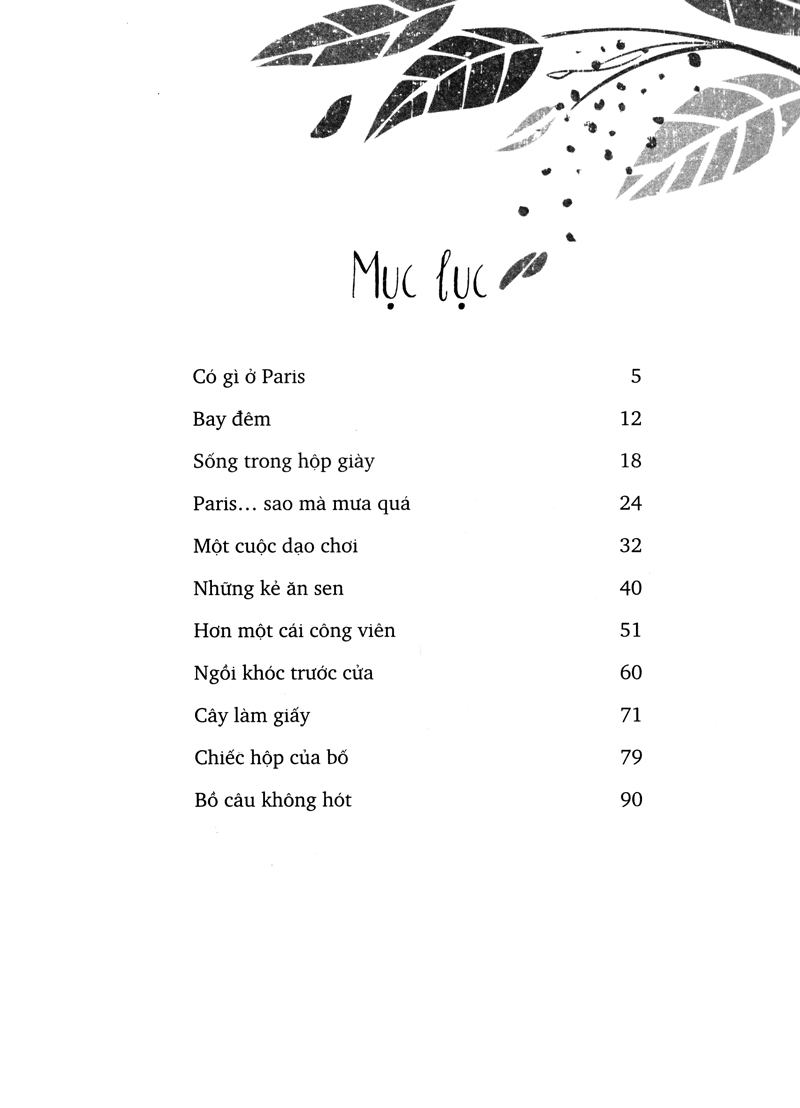 paris trong hộp giày - Ảnh 3