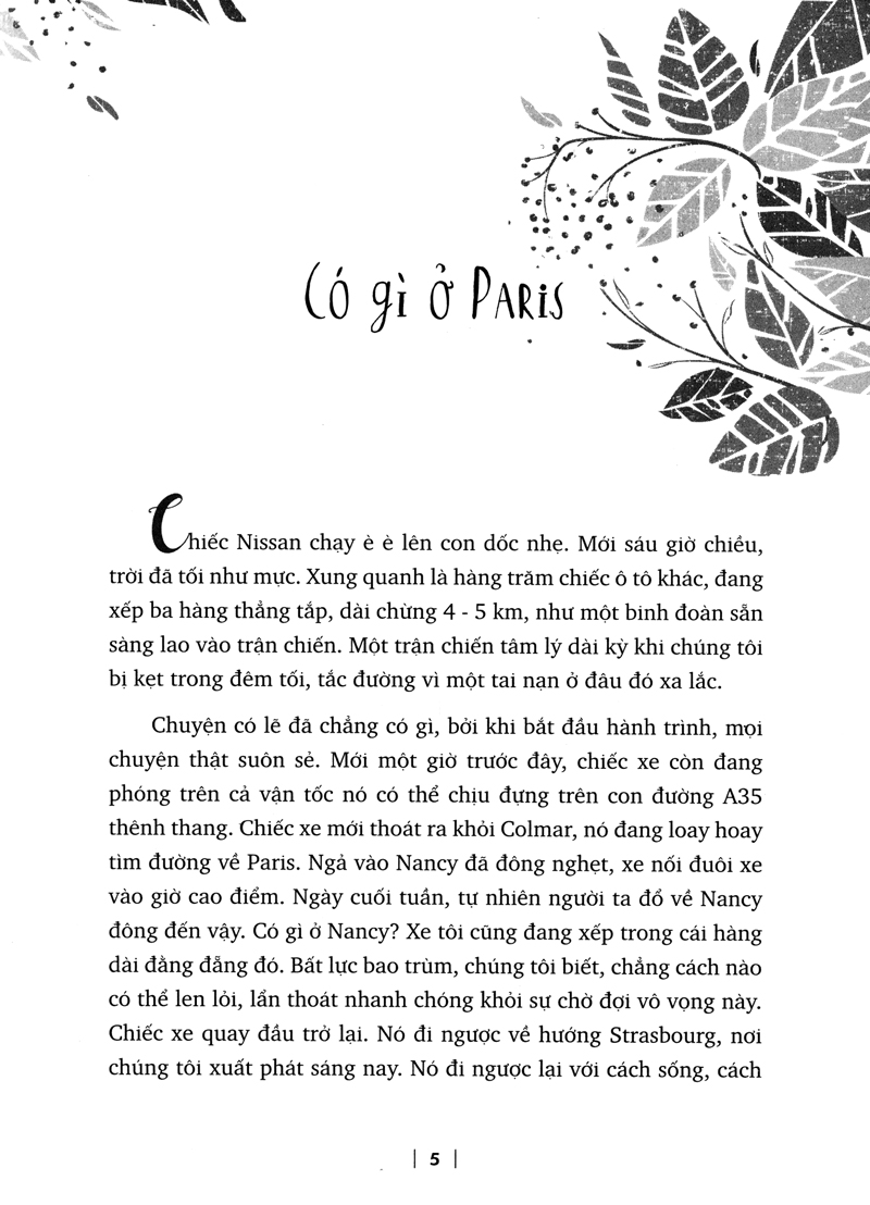 paris trong hộp giày - Ảnh 4