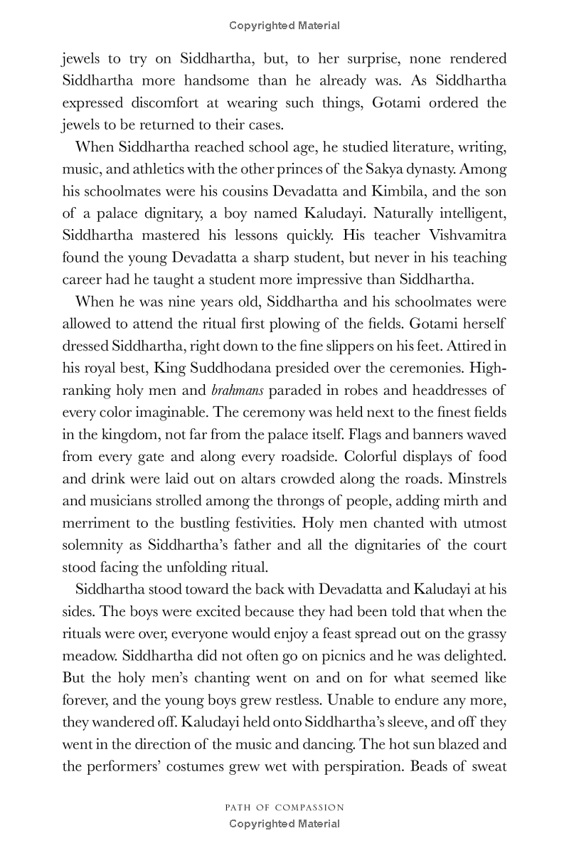 path of compassion : stories from the buddha's life - Ảnh 11