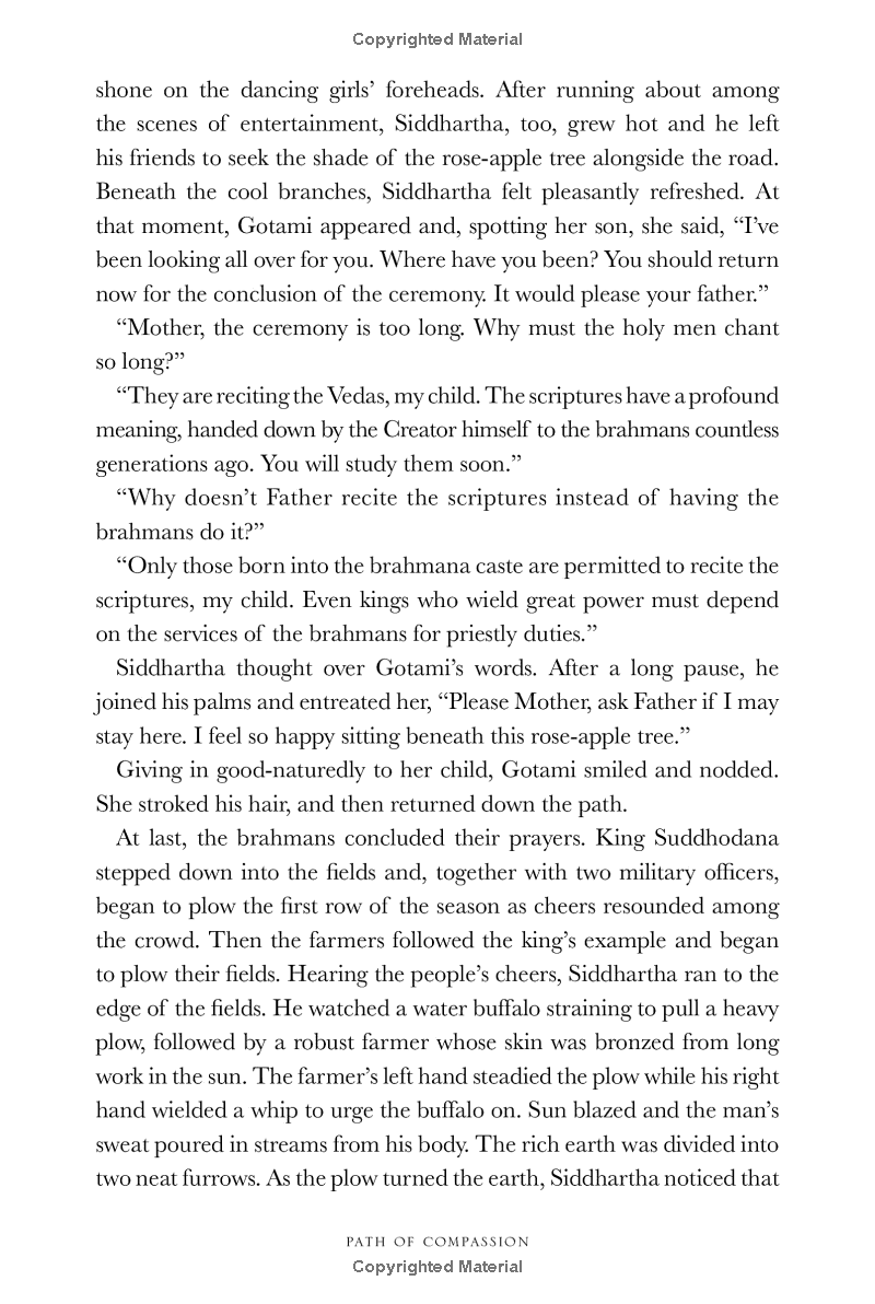 path of compassion : stories from the buddha's life - Ảnh 12