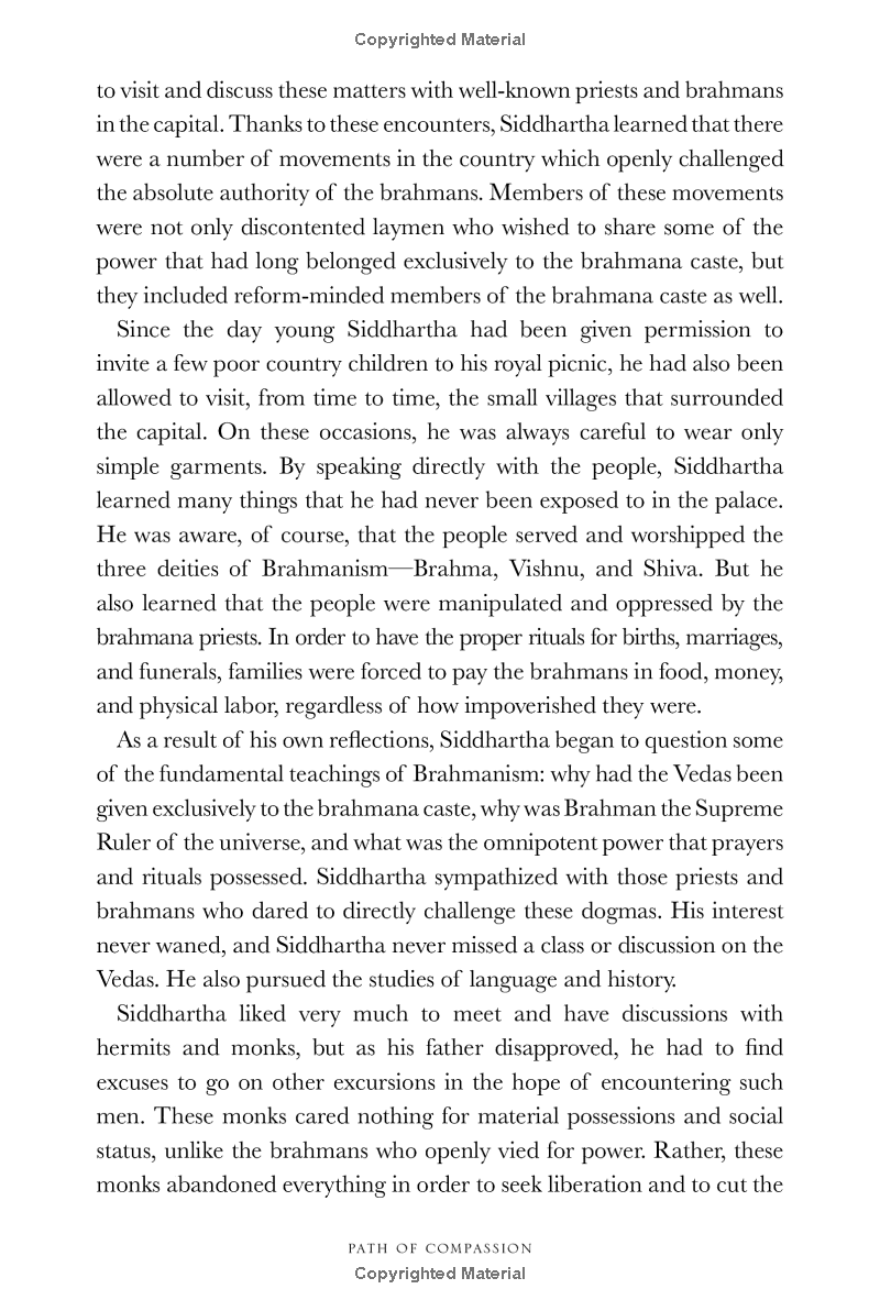 path of compassion : stories from the buddha's life - Ảnh 15