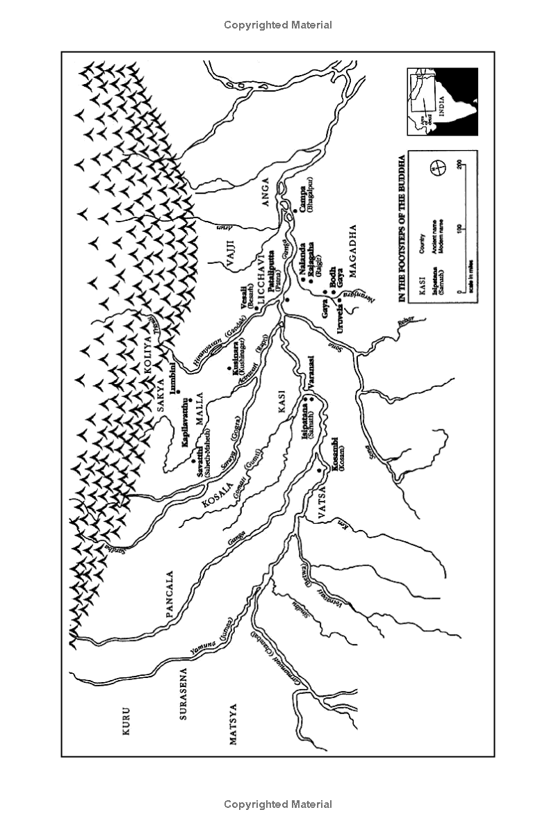 path of compassion : stories from the buddha's life - Ảnh 5