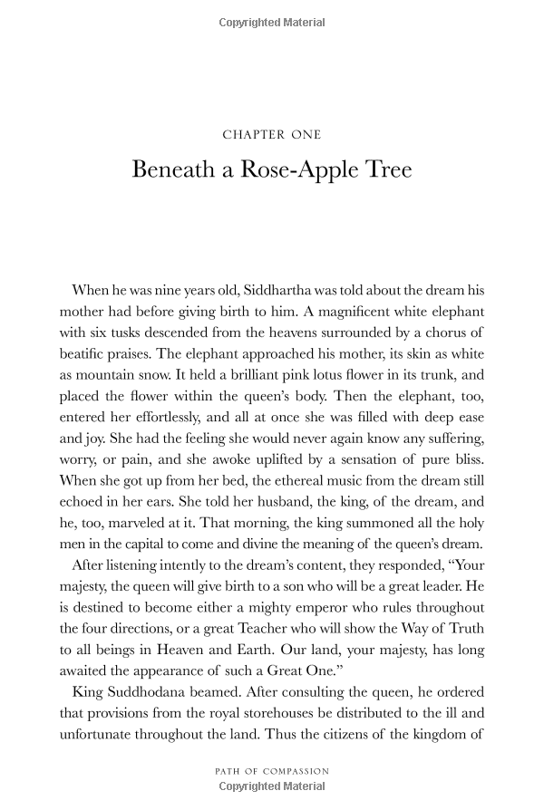 path of compassion : stories from the buddha's life - Ảnh 8