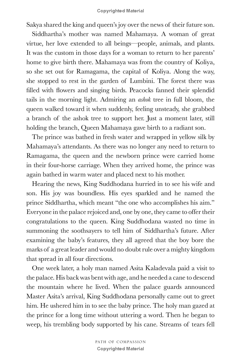 path of compassion : stories from the buddha's life - Ảnh 9