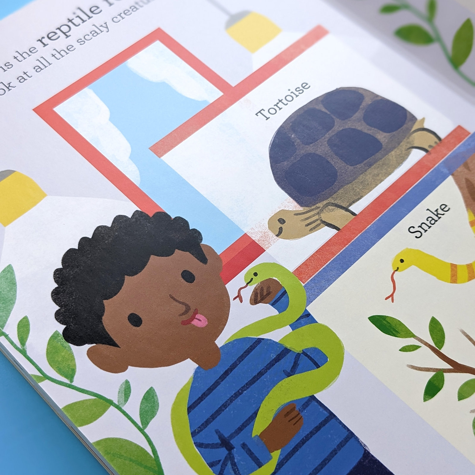 paul's pet shop - little high street books - Ảnh 5