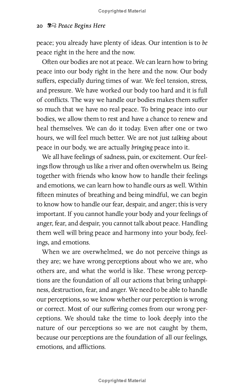 peace begins here: palestinians and israelis listening to each other - Ảnh 13