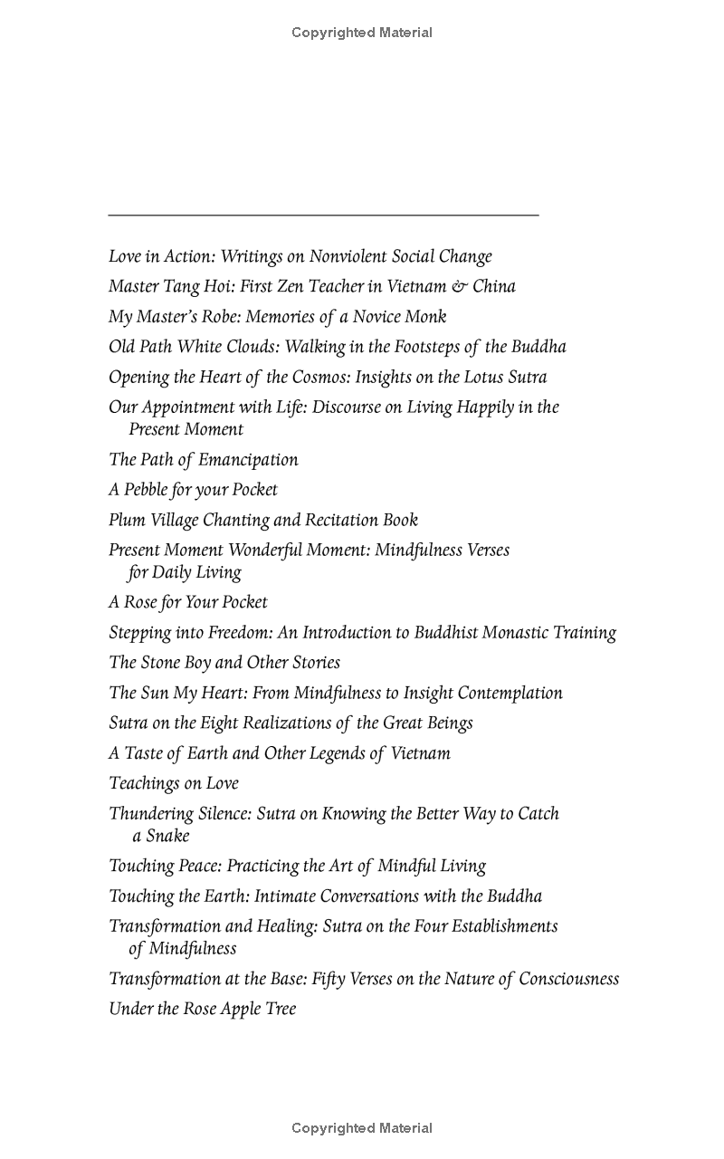 peace begins here: palestinians and israelis listening to each other - Ảnh 4