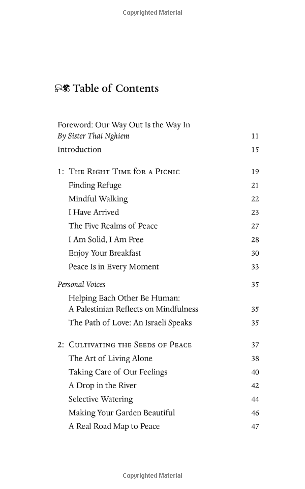 peace begins here: palestinians and israelis listening to each other - Ảnh 5