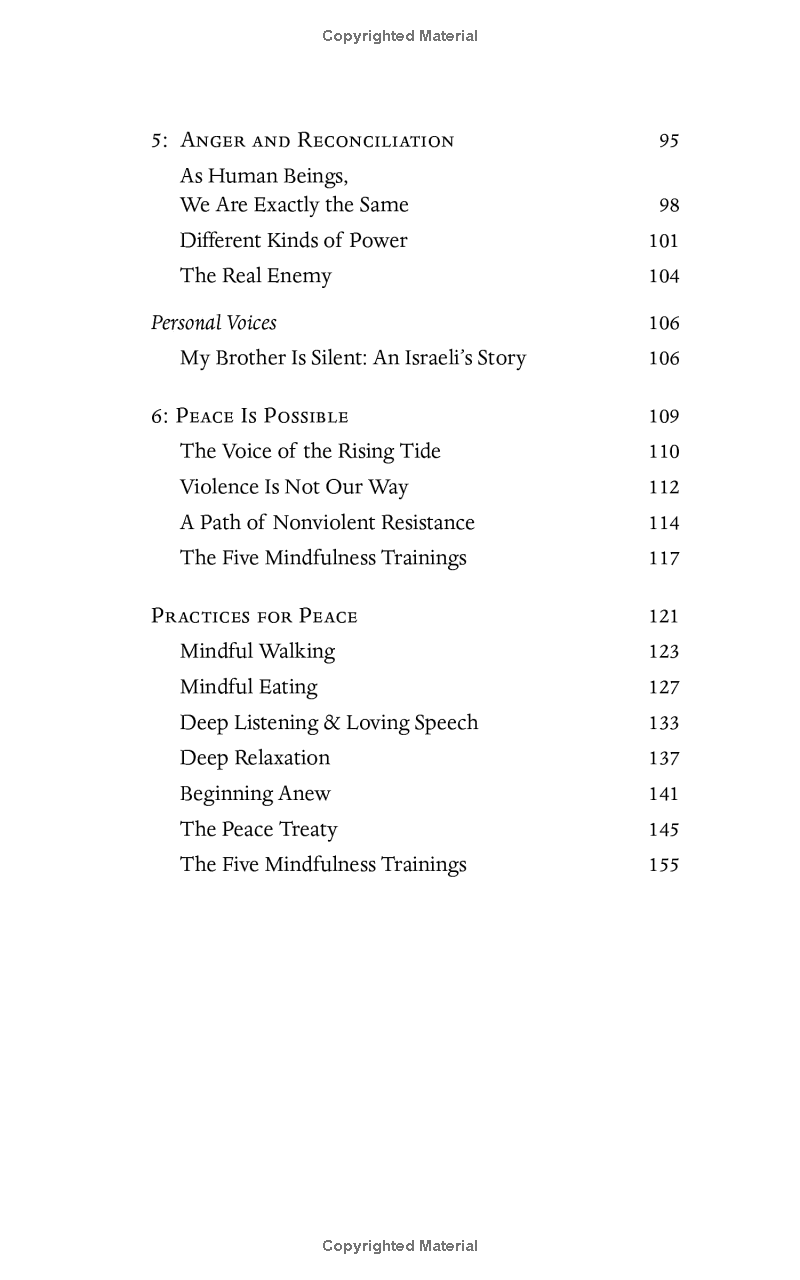 peace begins here: palestinians and israelis listening to each other - Ảnh 7