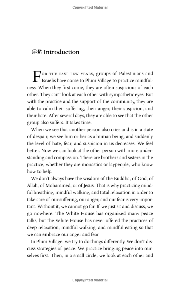 peace begins here: palestinians and israelis listening to each other - Ảnh 8