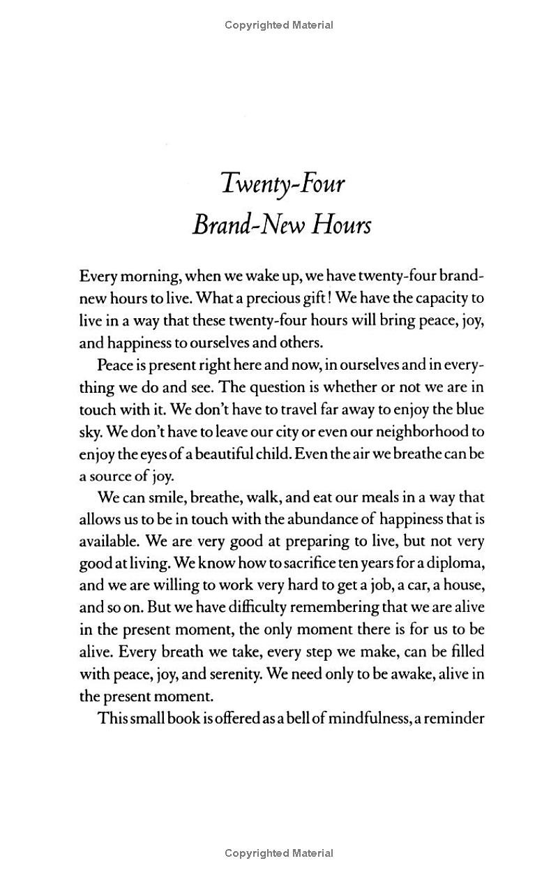 peace is every step - Ảnh 10