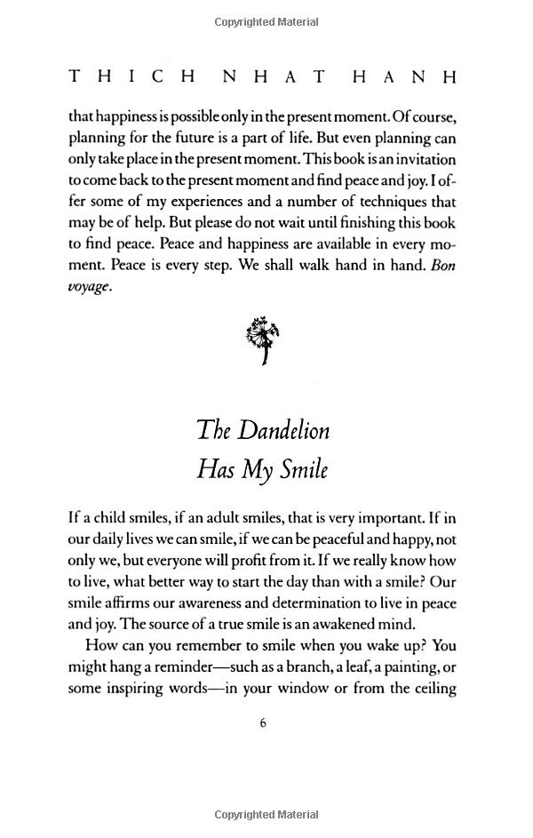 peace is every step - Ảnh 11