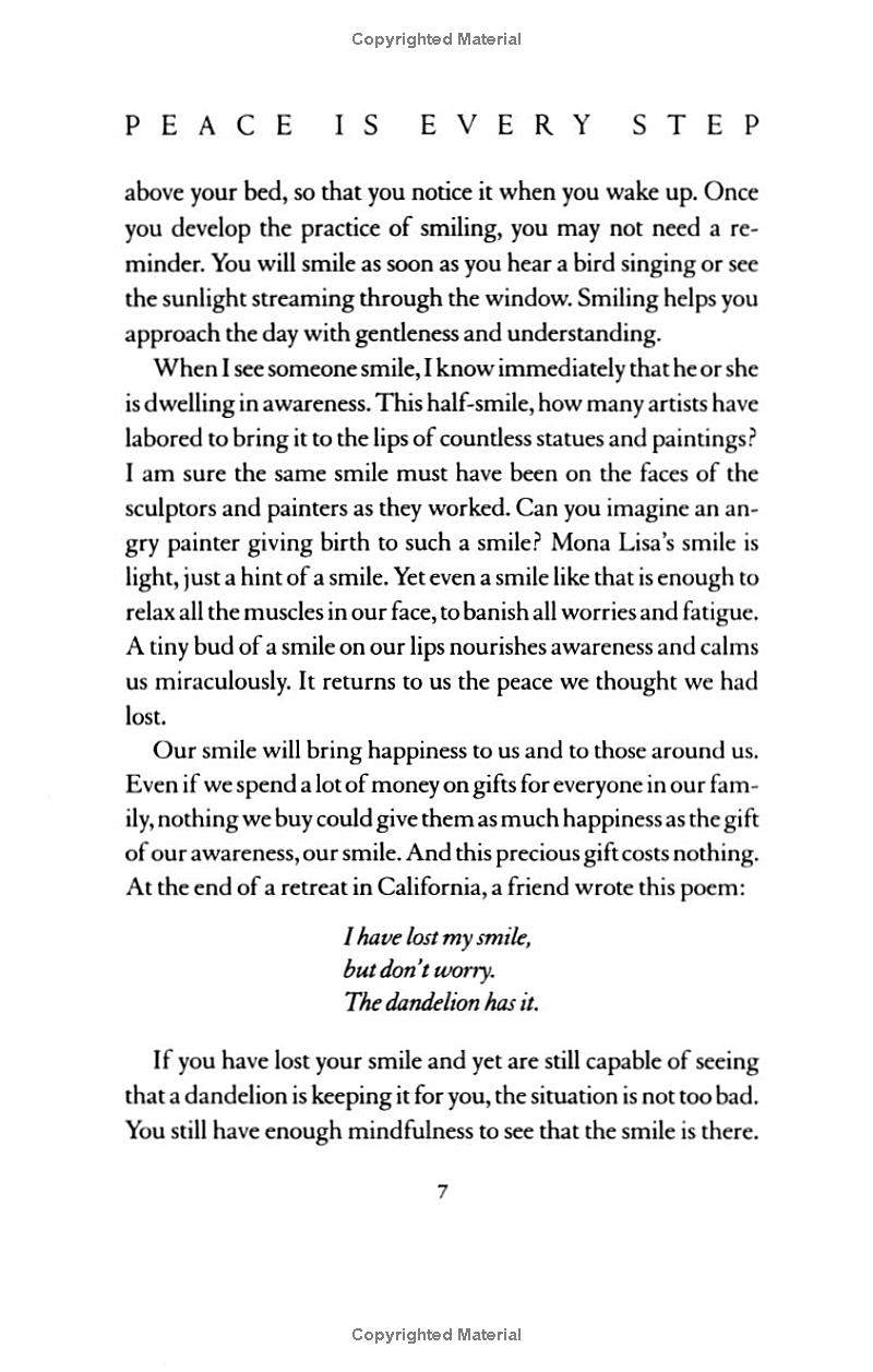 peace is every step - Ảnh 12