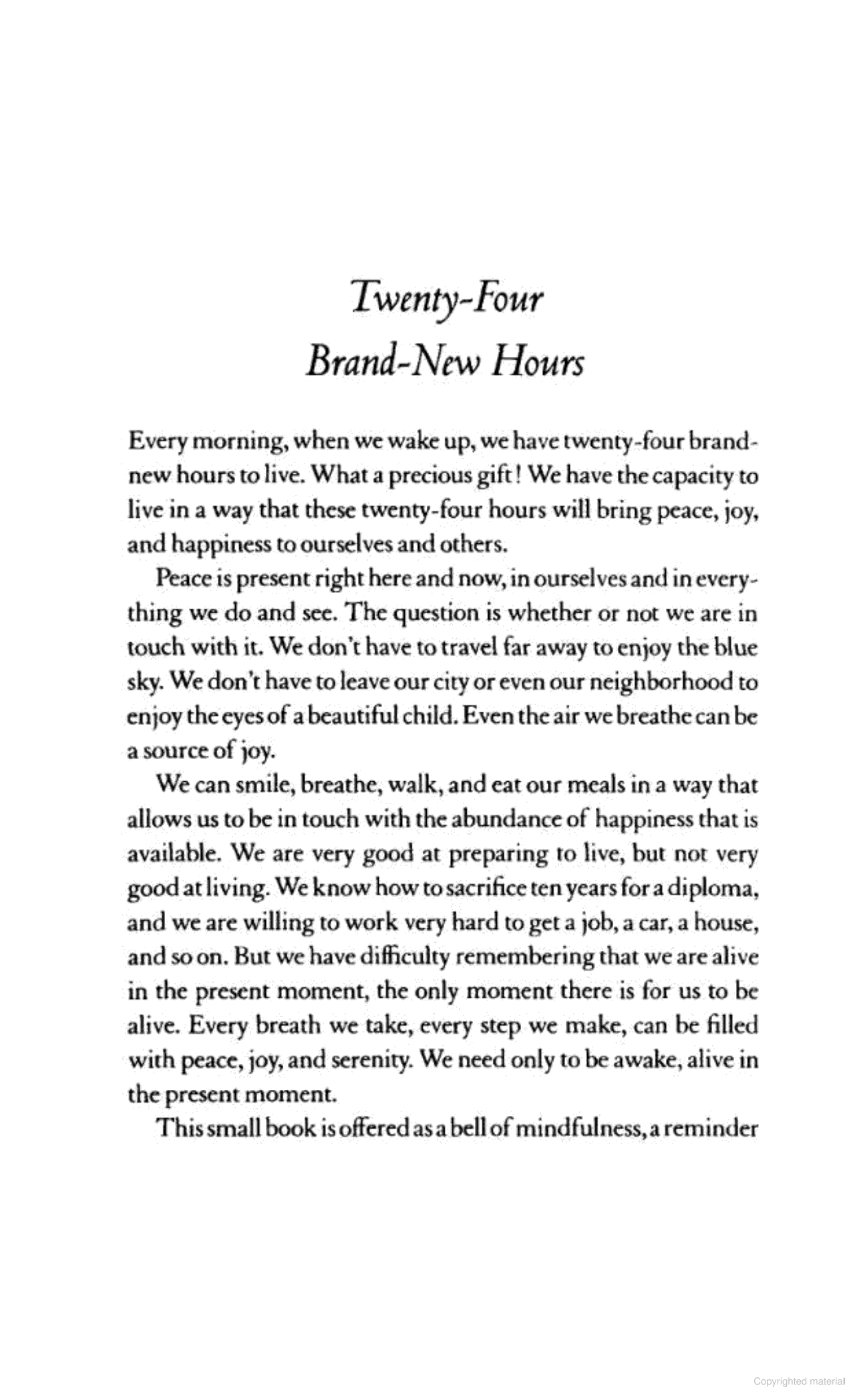 peace is every step - Ảnh 3