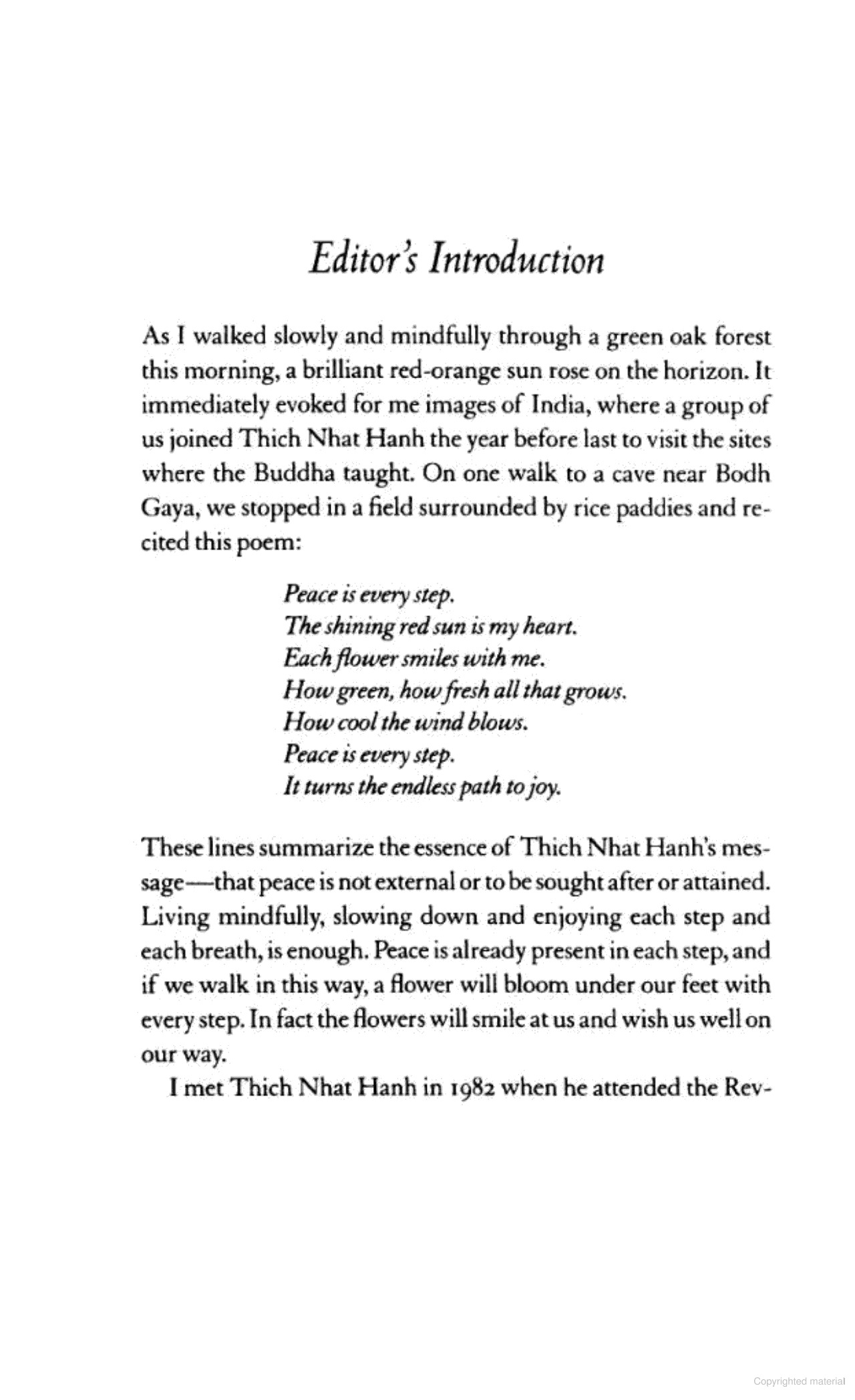 peace is every step - Ảnh 6