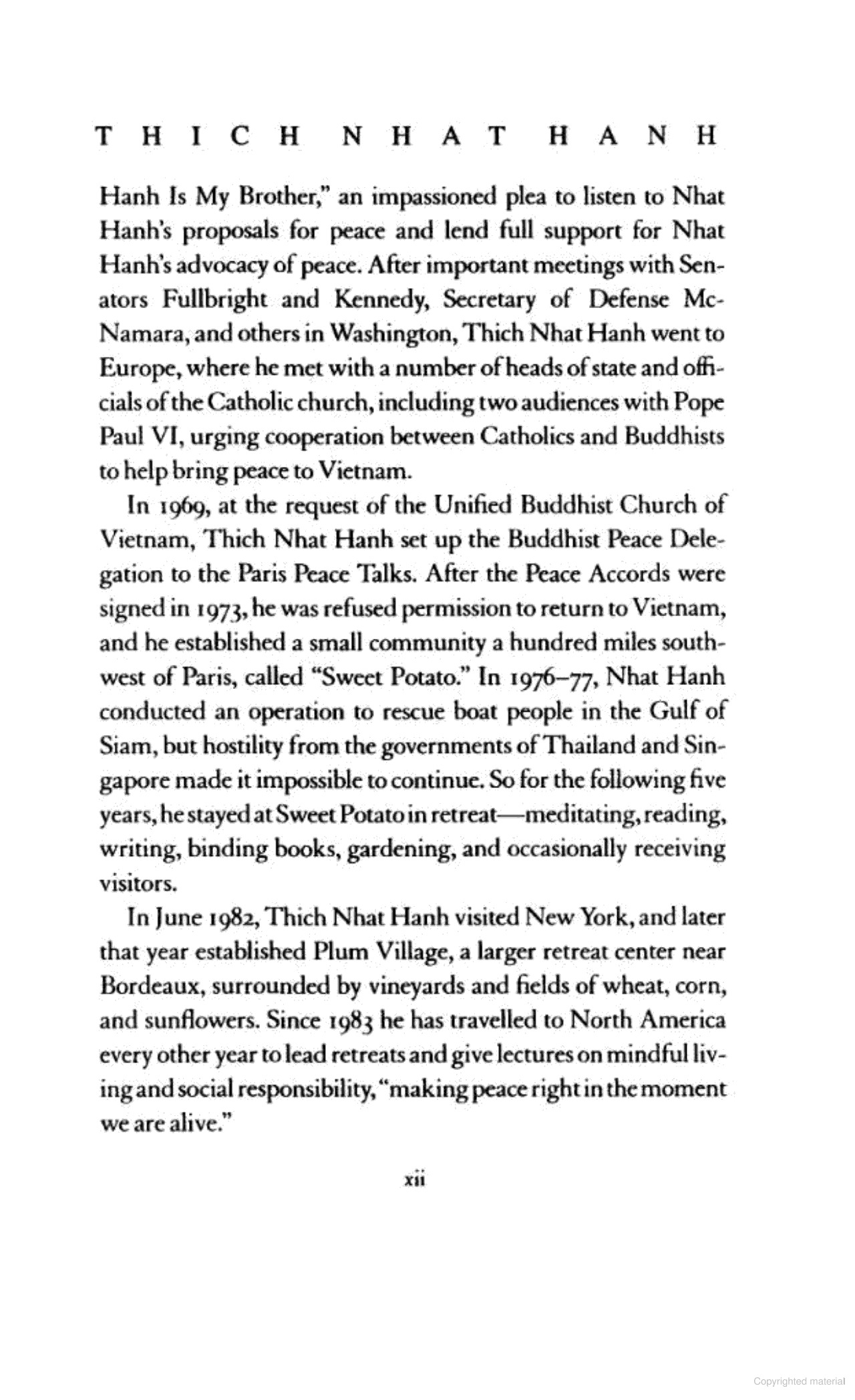 peace is every step - Ảnh 9