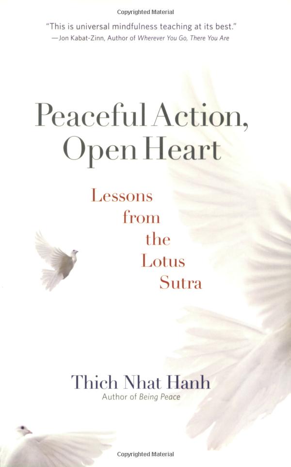 peaceful action, open heart: lessons from the lotus sutra - Ảnh 2