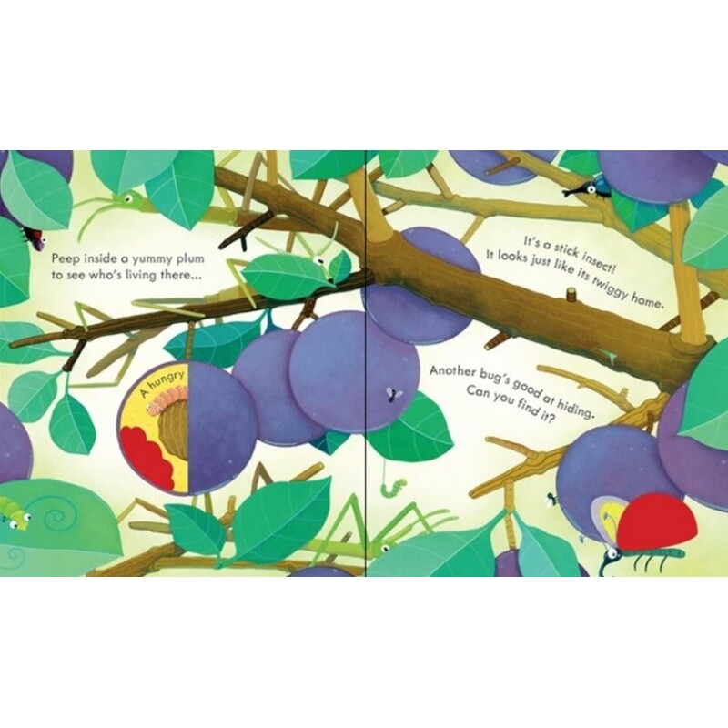 peep inside bug homes - Ảnh 4