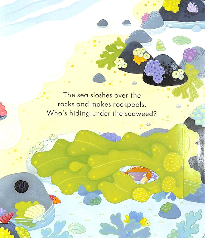 peep inside the seashore - Ảnh 2