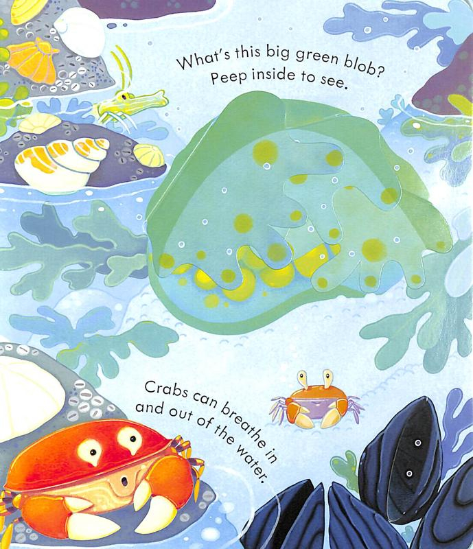 peep inside the seashore - Ảnh 3