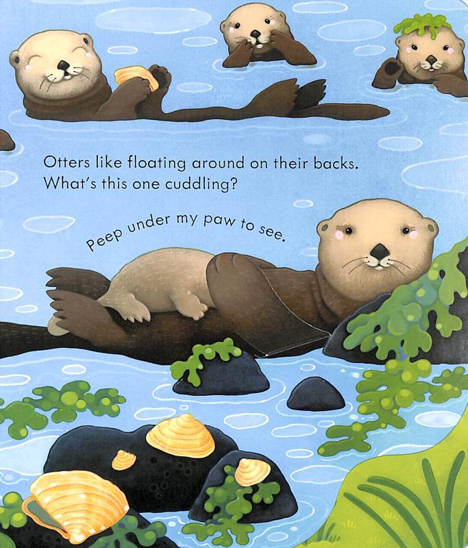 peep inside the seashore - Ảnh 5