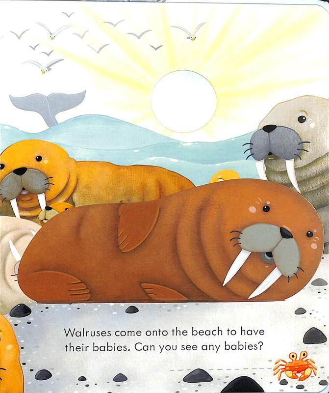 peep inside the seashore - Ảnh 6