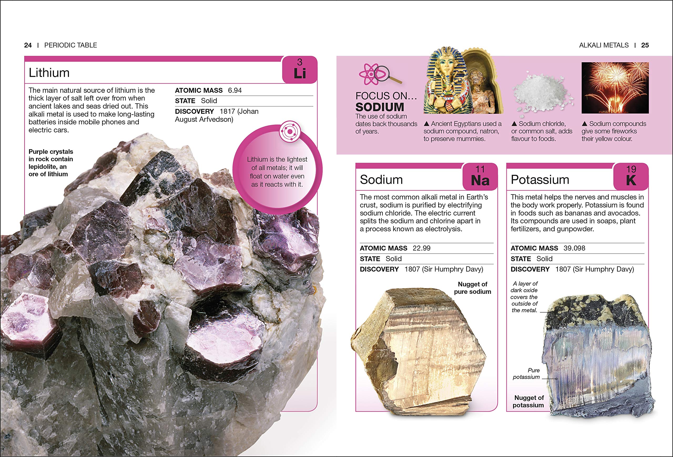 periodic table: facts at your fingertips (pocket eyewitness) - Ảnh 3