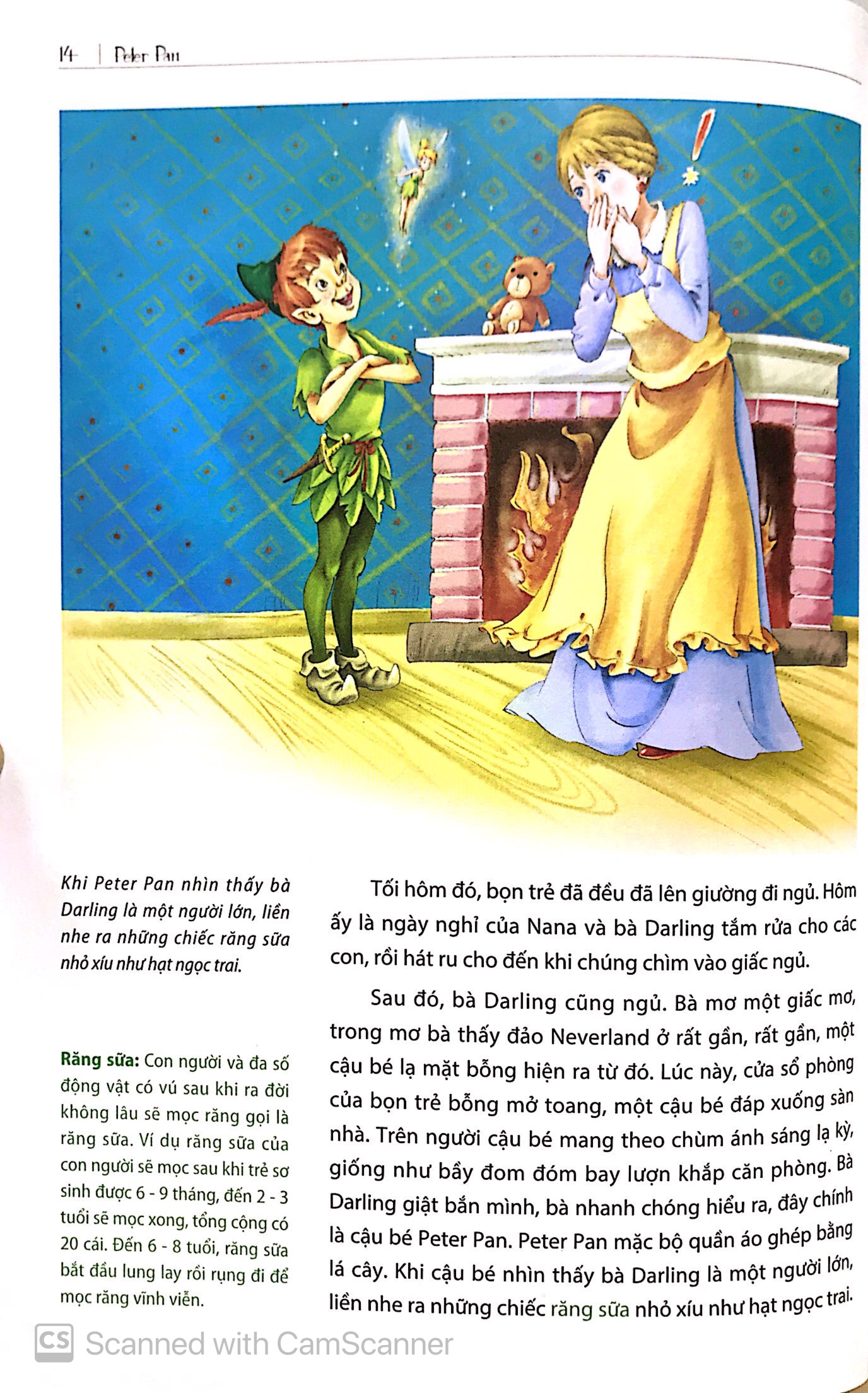 peter pan - Ảnh 14