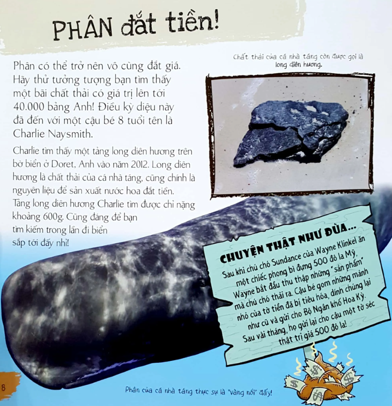 phân của muôn loài - Ảnh 8