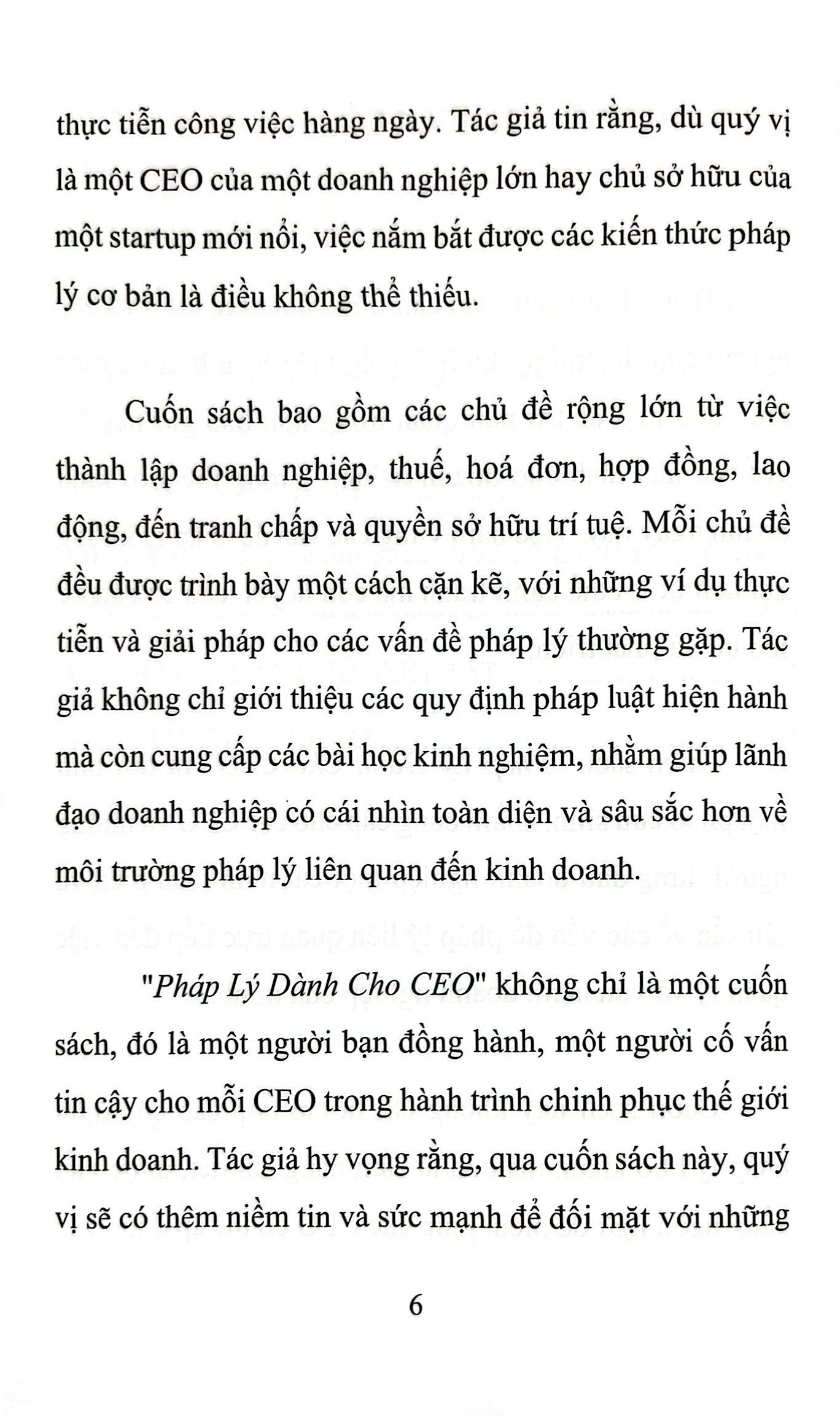 pháp lý dành cho ceo - Ảnh 9