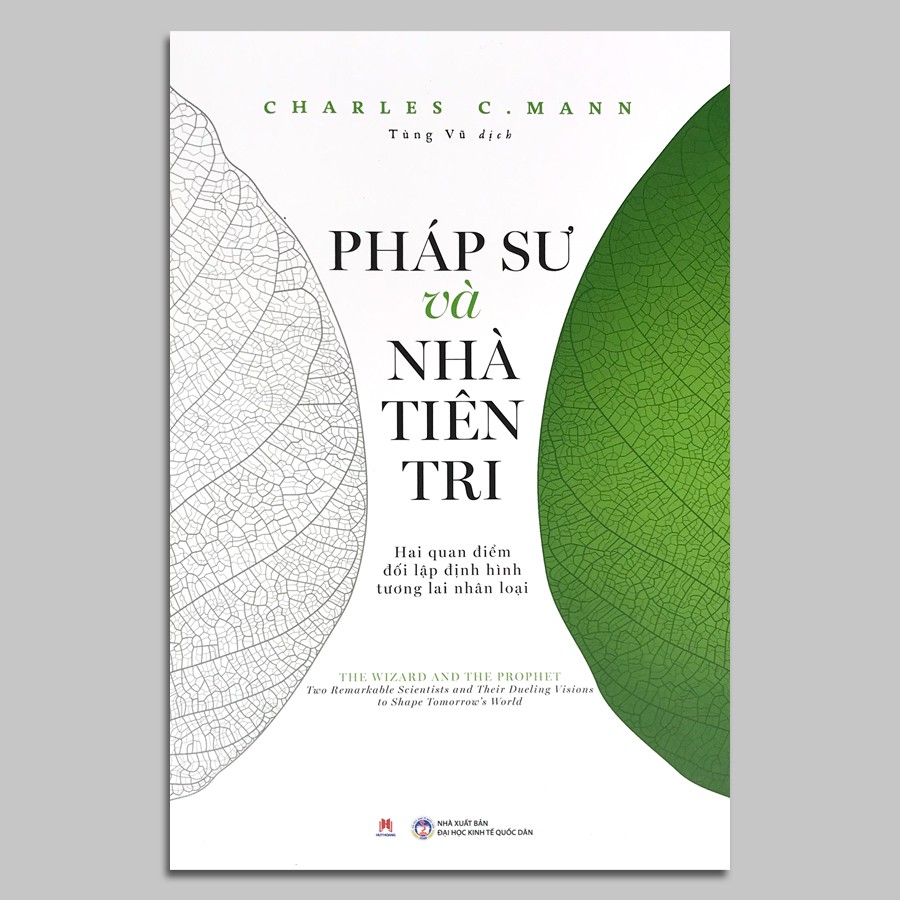 pháp sư và nhà tiên tri - Ảnh 2