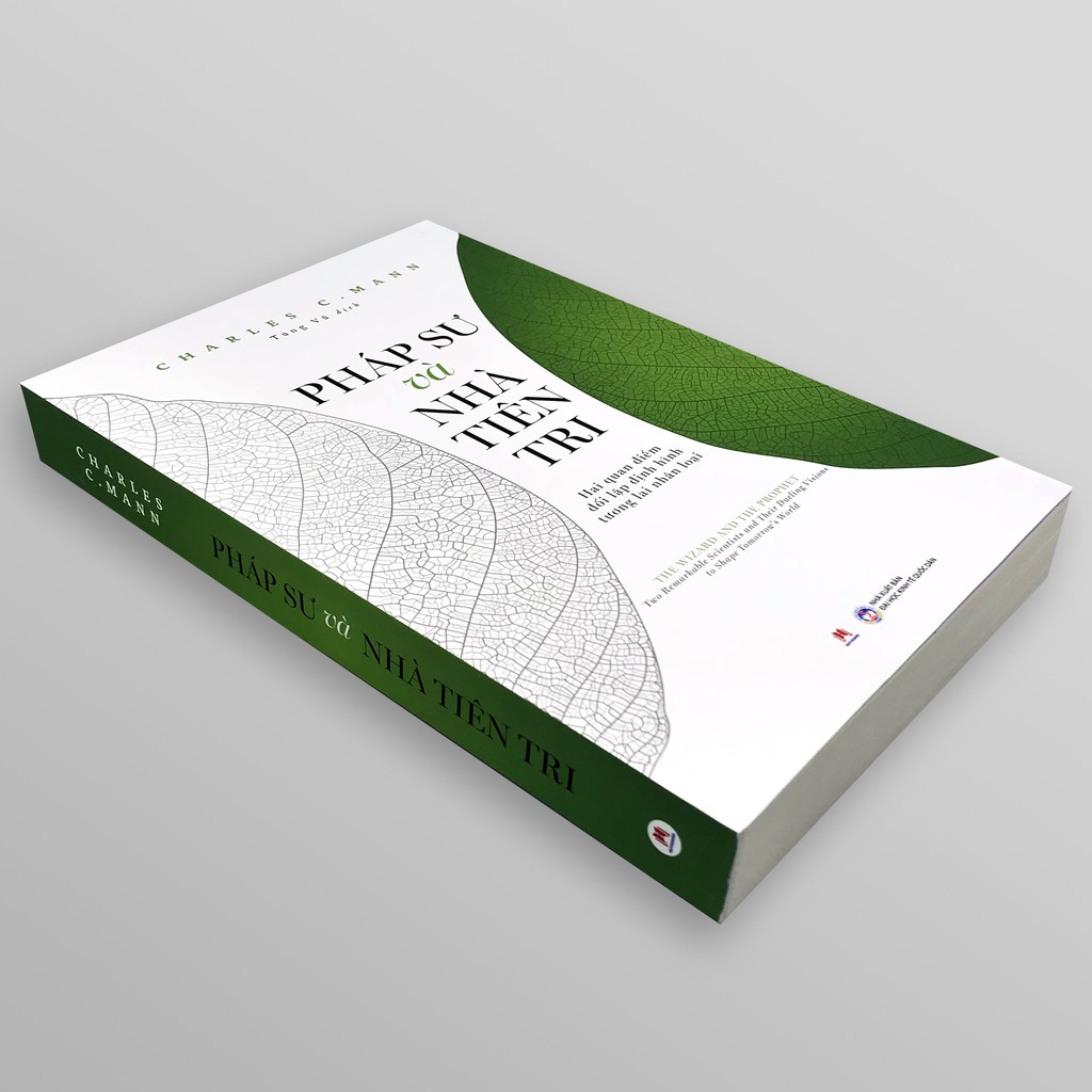 pháp sư và nhà tiên tri - Ảnh 3