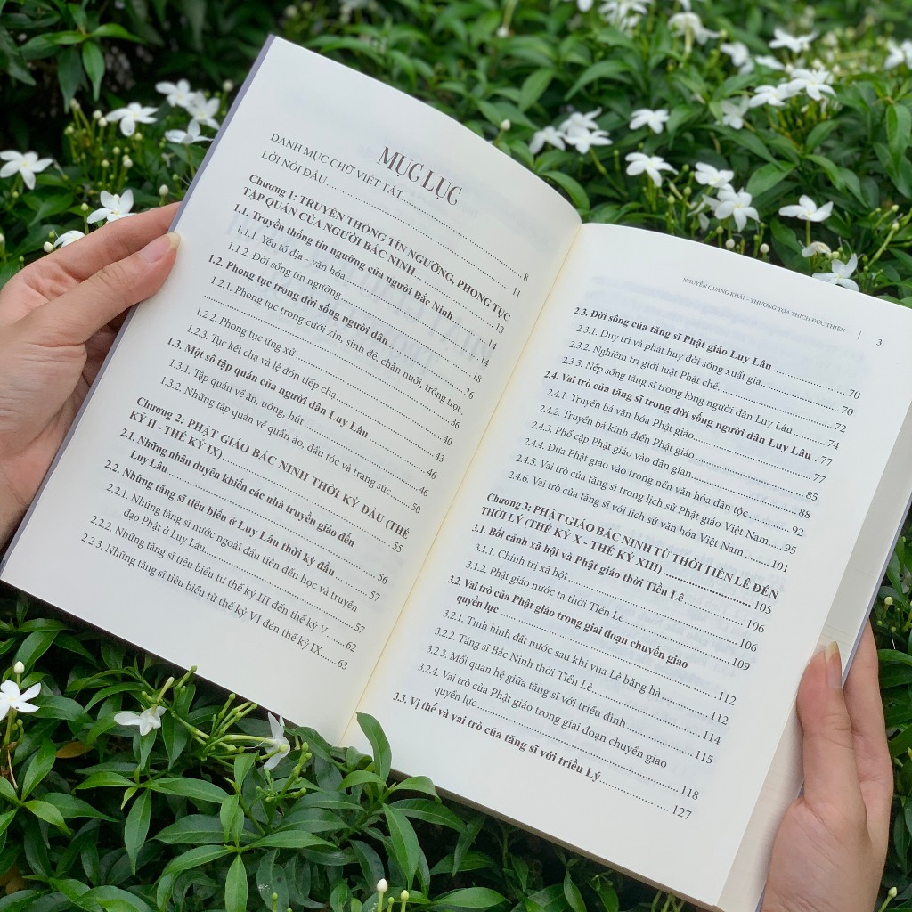 phật giáo bắc ninh trong lịch sử - Ảnh 4