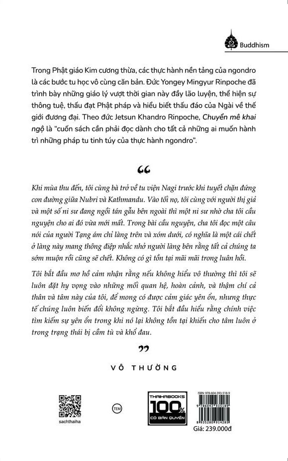 phật giáo tây tạng cơ bản - chuyển mê khai ngộ - Ảnh 8