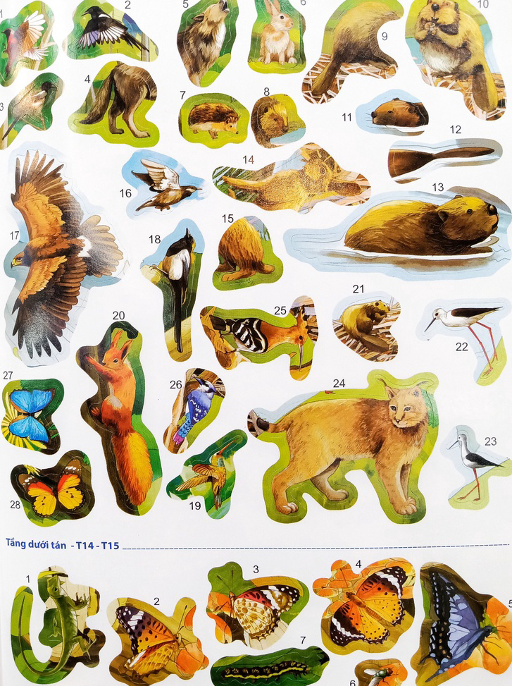 phát triển chỉ số iq-eq-cq - 291 sticker thế giới động vật - Ảnh 4