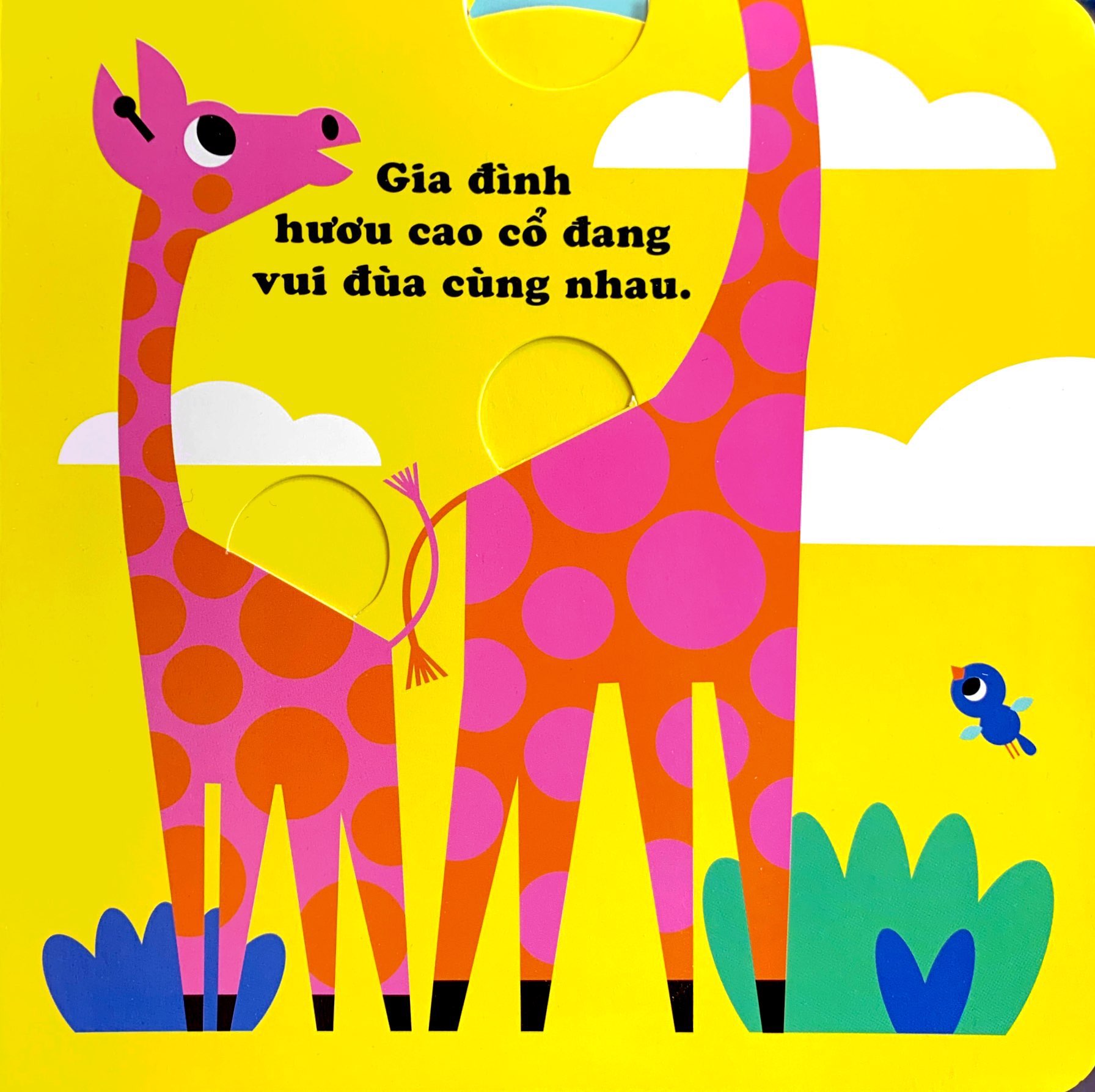 phát triển kĩ năng cho bé - chuyển động vui vẻ - những nhà thám hiểm nhỏ - Ảnh 6