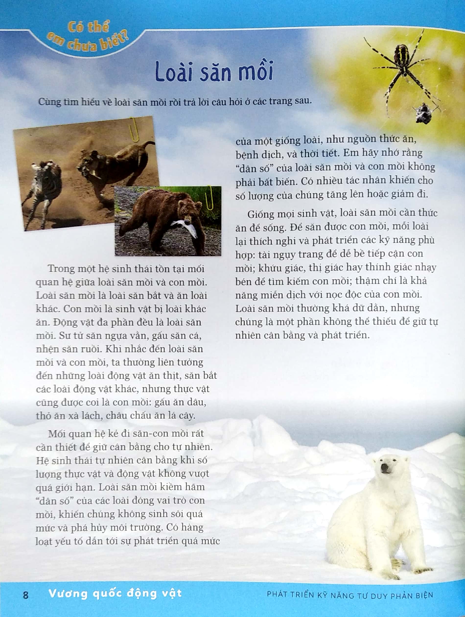 phát triển kỹ năng tư duy phản biện - lớp 5 nâng cao - Ảnh 5