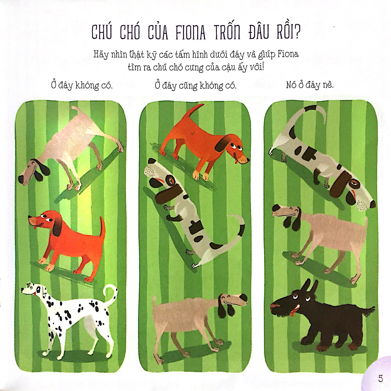 phát triển toàn diện giác quan iq - thử tài quan sát - Ảnh 5