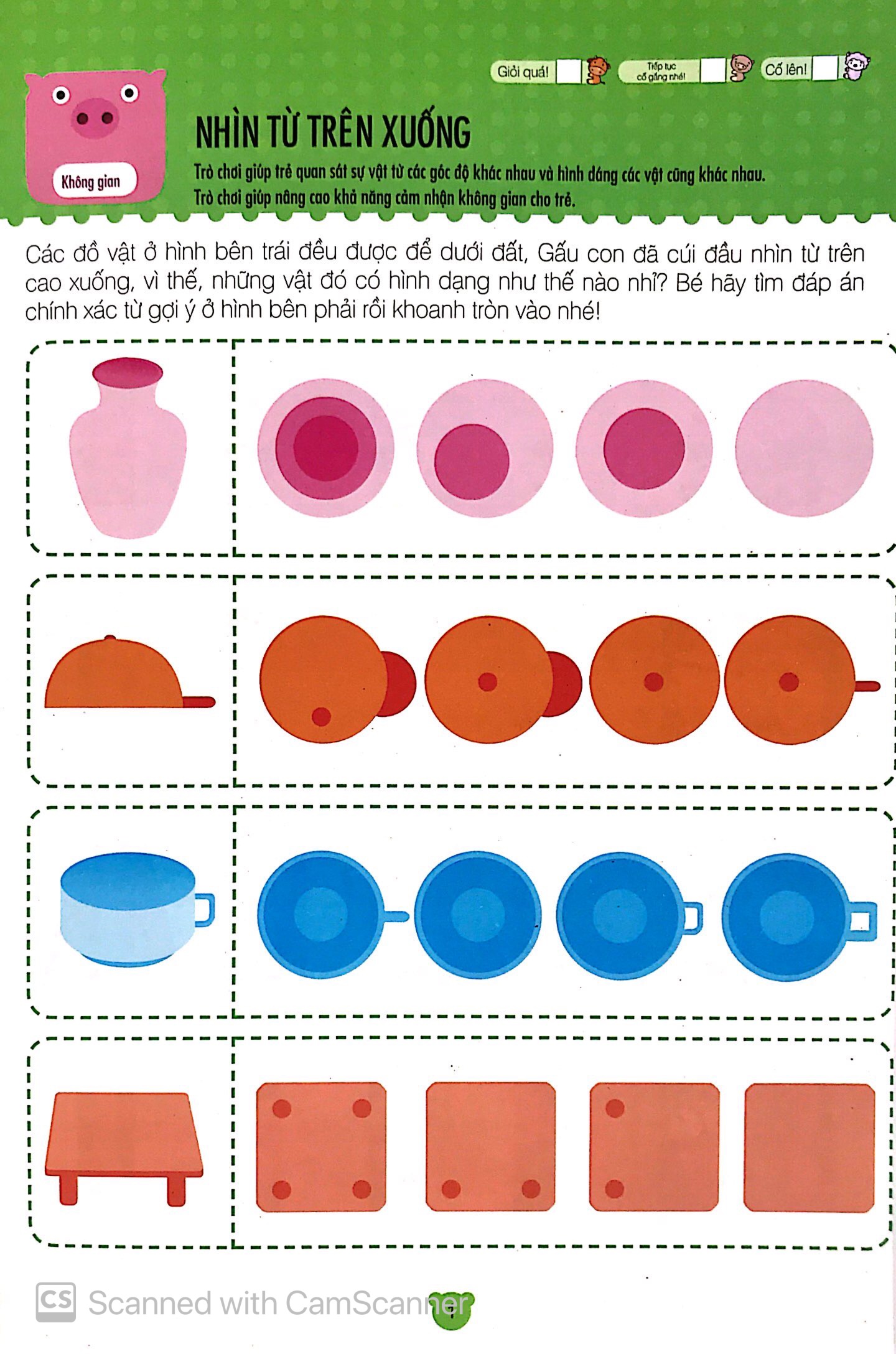 phát triển toàn diện trí thông minh cho trẻ b - Ảnh 3