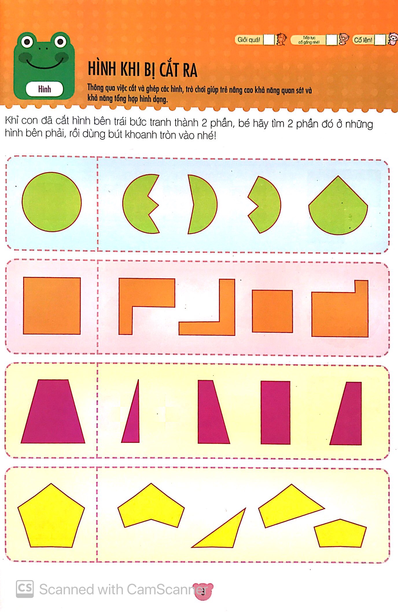 phát triển toàn diện trí thông minh cho trẻ b - Ảnh 5