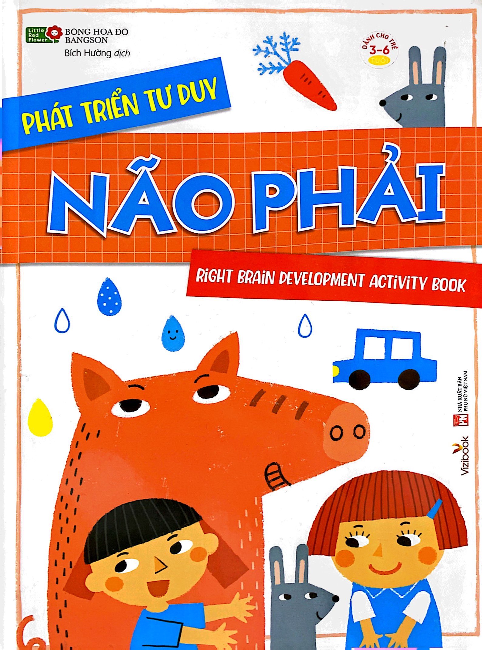 phát triển tư duy não phải - Ảnh 2